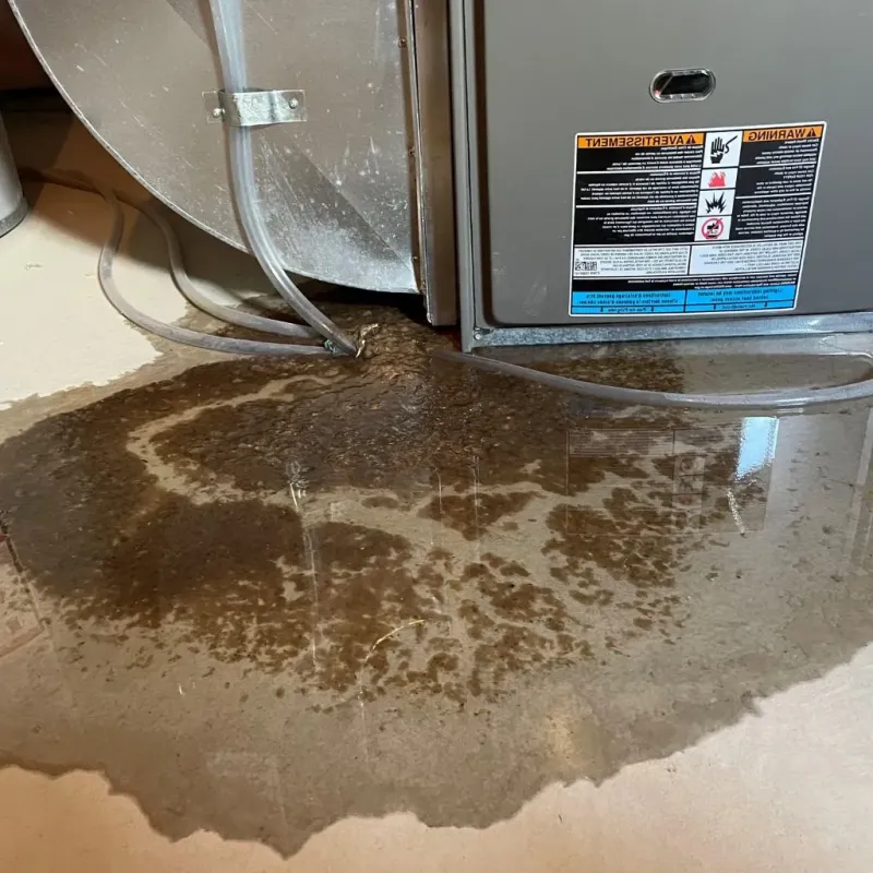Pipe Burst and Leak Restoration in Presque Isle County, MI